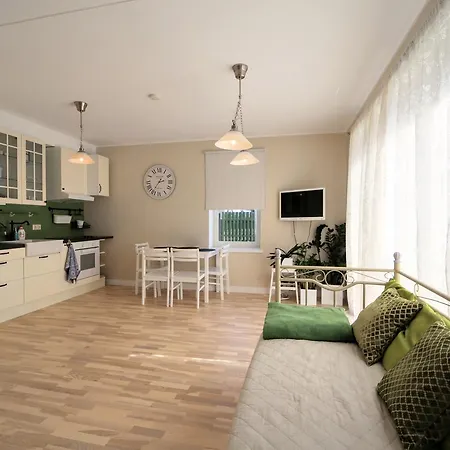 Dream Design With Terrace Таллин